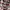 In the Attic Y2K Grunge Casual shirt Pria red cream photo 4