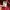 Carhartt Streetwear Sweatshirt Pria red photo 5