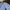 PLAC Casual Formal shirt Pria blue photo 2