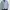 PLAC Casual Formal shirt Pria blue photo 8