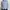 PLAC Casual Formal shirt Pria blue photo 7