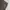 Carhartt Streetwear Short Pria brown photo 3