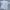 Champion Vintage Casual T-shirt Pria gray photo 1