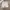 ZARA Casual Short Pria white gray photo 1