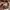 Tornado Mart Y2K Luxury Casual shirt Pria tan photo 6