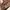 Tornado Mart Y2K Luxury Casual shirt Pria tan photo 4