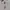 Hugo Boss Casual Polo shirt Pria gray photo 4