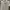 Executive Minimalist Casual Shirt Wanita white photo 1