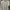 Executive Minimalist Casual Shirt Wanita white photo 3