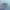 Nike Sportswear Sneakers Pria green blue photo 1