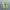 Nike Sportswear Sneakers Pria green blue photo 5