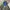Casual Puffer jacket Pria gray blue photo 3