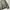 Casual Puffer jacket Pria gray blue photo 4