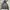 Casual Puffer jacket Pria gray blue photo 1