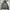 Casual Puffer Jacket Pria Gray Blue