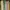 Uniqlo Vintage Minimalist Nightgown Wanita cream photo 1