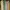 Uniqlo Vintage Minimalist Nightgown Wanita Cream