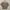 Pull & Bear Casual Crop top Wanita tan photo 2