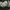 New Balance Casual Sneakers Pria white cream photo 4