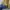 GAP Y2K Casual Sweatshirt Wanita tan photo 1