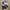 Adidas Vintage Streetwear Sneakers Pria Black