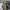 Luxury Bags & purse Wanita khaki black photo 3