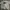 Streetwear Sportswear Bomber Jacket Pria White