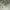 Nike Streetwear Sportswear Casual shoe Pria cream photo 1
