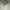 Nike Streetwear Sportswear Casual shoe Pria cream photo 2
