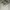 Nike Streetwear Sportswear Casual Shoe Pria Cream