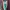Starter Sportswear Parka Pria green red photo 2