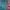 Starter Sportswear Parka Pria green red photo 5