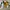 Nike Streetwear Casual Puffer jacket Pria white photo 2