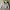 Nike Streetwear Casual Puffer jacket Pria white photo 1