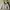 Nike Streetwear Casual Puffer Jacket Pria White