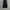 Dickies Vintage Y2K Jeans Pria black photo 3