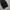 Dickies Vintage Y2K Jeans Pria black photo 5