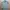 Uniqlo Streetwear Casual Windbreaker Pria green photo 1