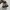 Nike Casual Sneakers Pria cream photo 4