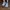 Adidas Sportswear Sneakers Pria gray photo 7