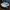 Adidas Sportswear Sneakers Pria gray photo 1