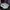 Adidas Sportswear Sneakers Pria gray photo 5