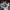 Adidas Sportswear Sneakers Pria gray photo 2