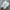 New Balance Streetwear Sneakers Wanita white photo 5