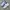 New Balance Streetwear Sneakers Wanita white photo 1
