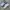 New Balance Streetwear Sneakers Wanita silver white photo 1