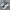 New Balance Streetwear Sneakers Wanita Silver White