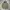 GAP Casual Parka Pria Green