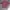 Polo Ralph Lauren Minimalist Casual Polo shirt Pria burgundy photo 3