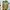 New Balance Streetwear Casual Sneakers Pria multicolor photo 5